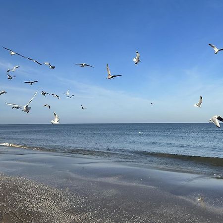 Pension Wald Und See 제바트헤링스도르프 외부 사진