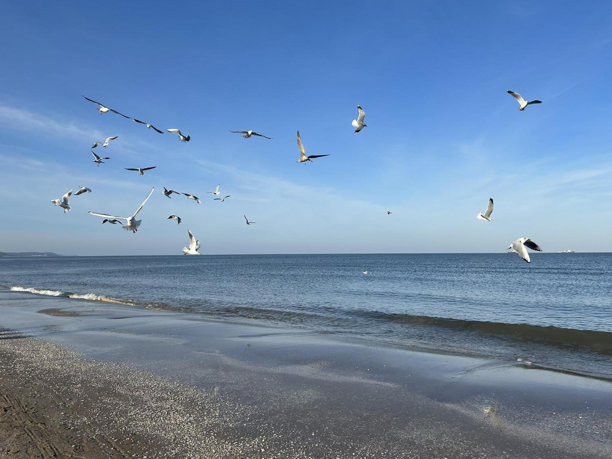 Pension Wald Und See 제바트헤링스도르프 외부 사진